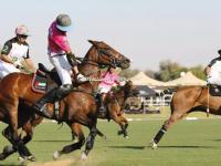 星空体育-阿联酋队在马术比赛中取得好成绩