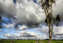 星空体育-利物浦主场大胜布莱顿，保持领先位置不变