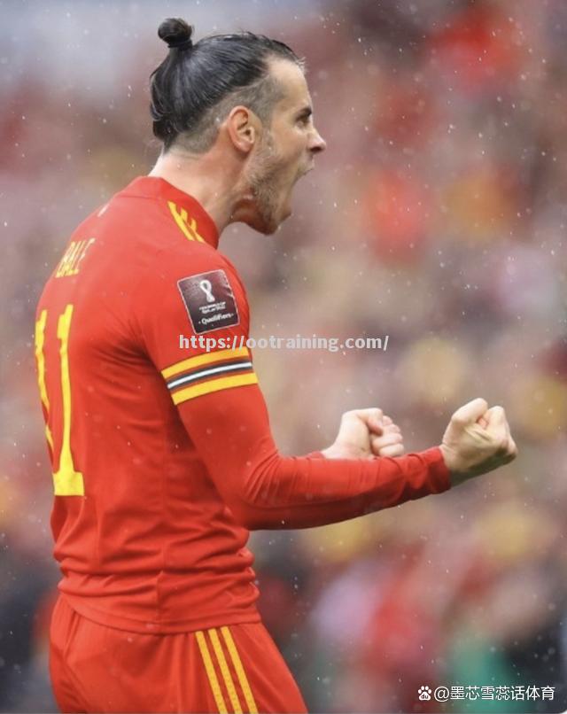 威尔士队成功闯入欧预赛下一轮