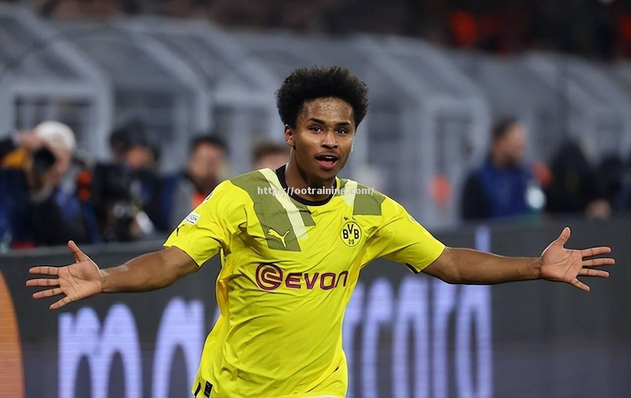 多特蒙德签下新后卫，备战本赛季残局